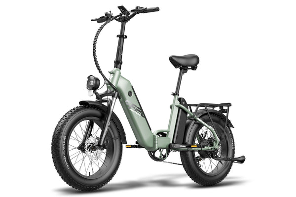 FAFREES FF20 Polar Folding Electric Bike - 95-115 km Range, 20x4.0 Tires, Shimano 7-Speed