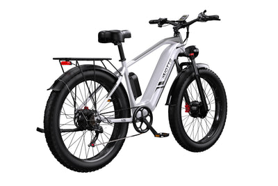 DUOTTS F26 Pro Dual-Motor Electric Bike: 48V 750W*2 Motors, Hydraulic Brakes