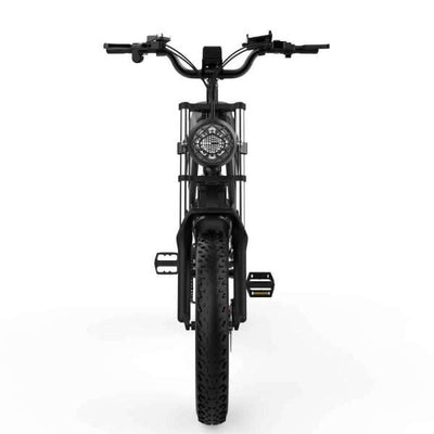 Ridstar Q20 Electric Bike - 1000W, Dual Suspension, 20" Fat Tires