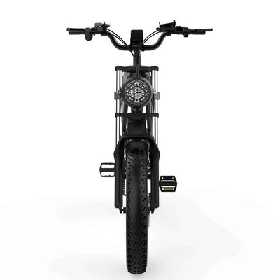 Ridstar Q20 Electric Bike - 1000W, Dual Suspension, 20" Fat Tires