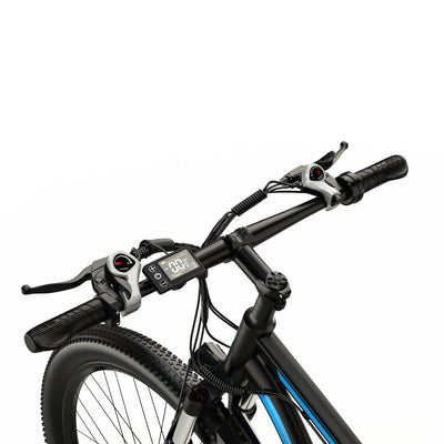 DUOTTS C29 Electric Bike - 750W Motor, 29" Tires, 48V 15Ah Battery