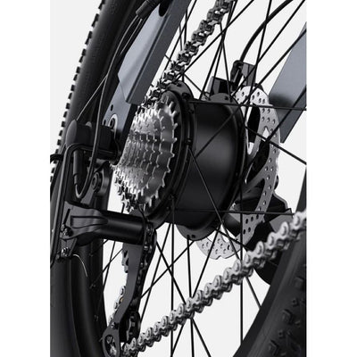 Engwe FATBIKE C20 PRO Folding Electric Bike