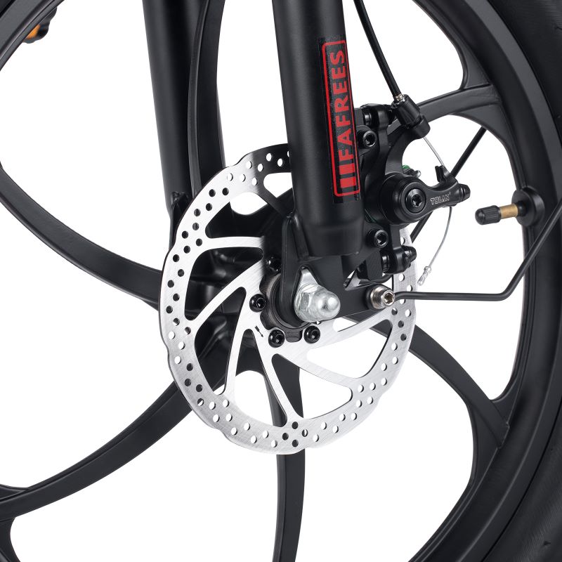 Fafrees F20 250W Electric Bike