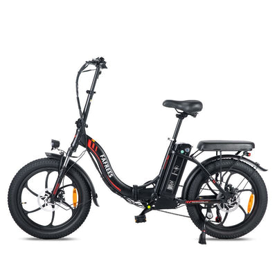 Fafrees F20 250W Electric Bike