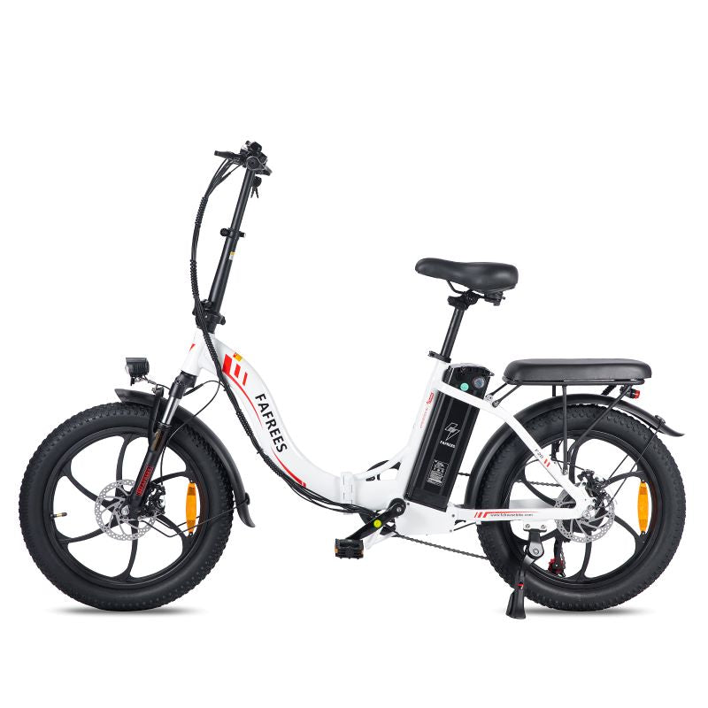 Fafrees F20 250W Electric Bike