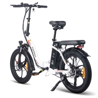 Fafrees F20 250W Electric Bike