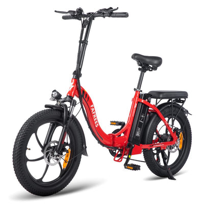 Fafrees F20 250W Electric Bike