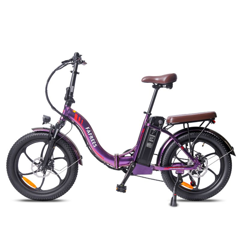 Fafrees F20 Pro 250w E-Bike