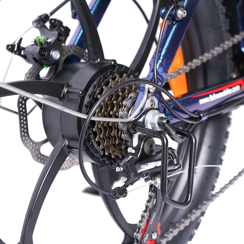 Fafrees F20 Pro 250w E-Bike