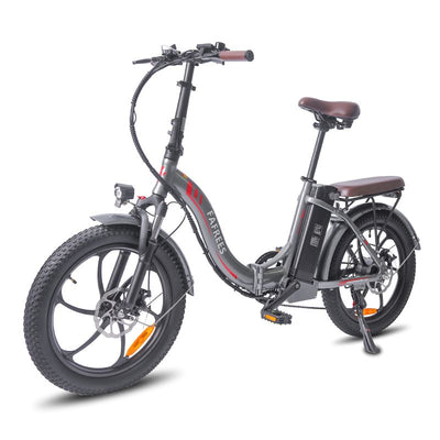 Fafrees F20 Pro 250w E-Bike